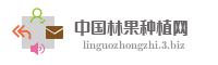 中国林果种植网