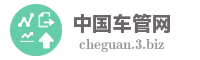 中国车管网
