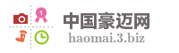 中国豪迈网