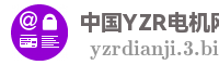 中国YZR电机网