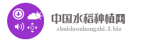 中国水稻种植网