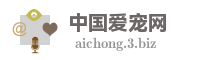 中国爱宠网