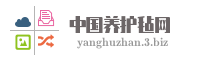 中国养护毡网