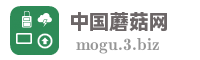 中国蘑菇网