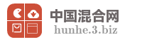 中国混合网