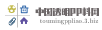 中国透明PP料网