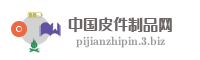 中国皮件制品网