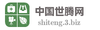 中国世腾网