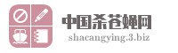 中国杀苍蝇网