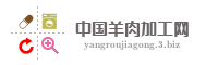 中国羊肉加工网