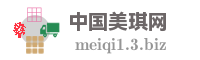 中国美琪网