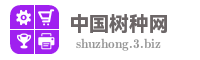 中国树种网