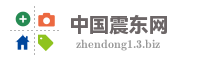 中国震东网