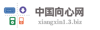 中国向心网