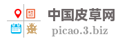 中国皮草网