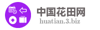 中国花田网