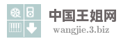 中国王姐网