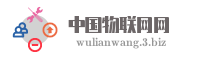 中国物联网网