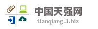 中国天强网