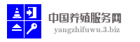 中国养殖服务网