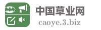 中国草业网