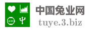 中国兔业网