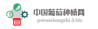 中国葡萄种植网