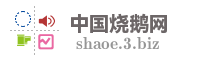 中国烧鹅网