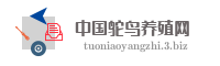 中国鸵鸟养殖网
