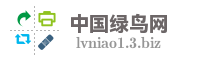 中国绿鸟网