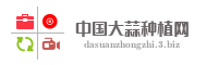 中国大蒜种植网