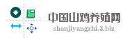 中国山鸡养殖网