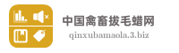 中国禽畜拔毛蜡网