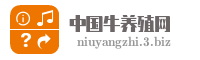 中国牛养殖网