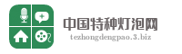 中国特种灯泡网
