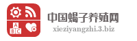 中国蝎子养殖网