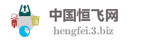 中国恒飞网