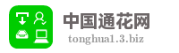 中国通花网