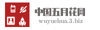 中国五月花网