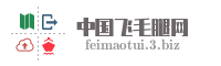 中国飞毛腿网