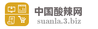 中国酸辣网