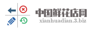 中国鲜花店网