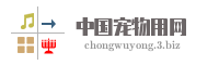 中国宠物用网