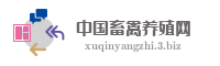 中国畜禽养殖网