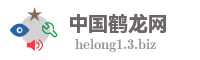 中国鹤龙网