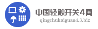 中国轻触开关4网