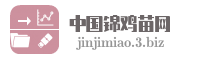 中国锦鸡苗网