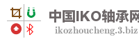 中国IKO轴承网