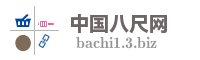 中国八尺网