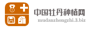 中国牡丹种植网